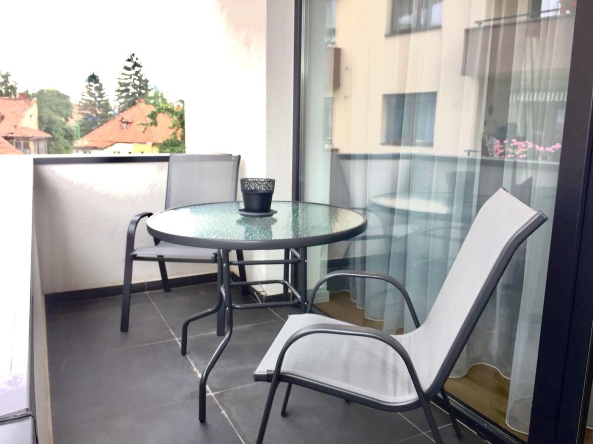 Flori De Iulie Apartment *