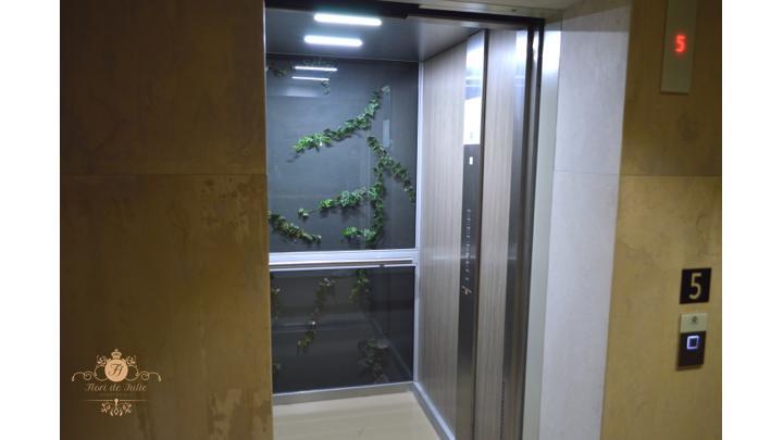 Flori De Iulie Apartment Brasov