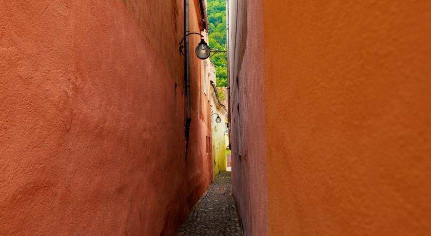 Flori De Iulie Brasov