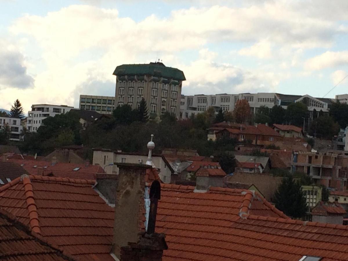 Flori De Iulie * Brasov